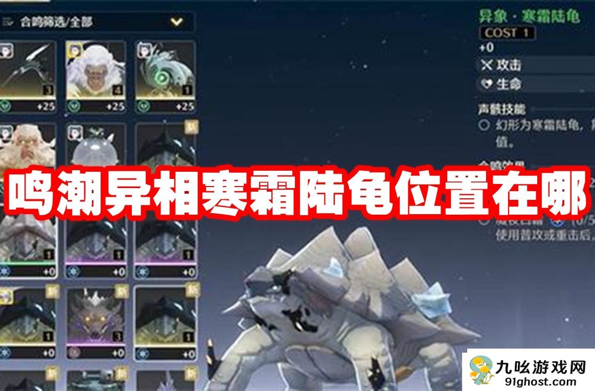 战术深度配！鸣潮异相寒霜陆龟位置在哪