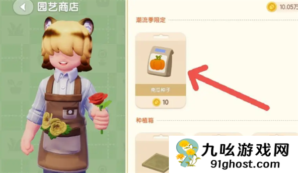 心动小镇南瓜种子在哪买