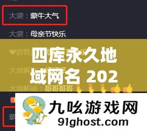 四库永久地域网名 2024 之独特魅力与精彩呈现