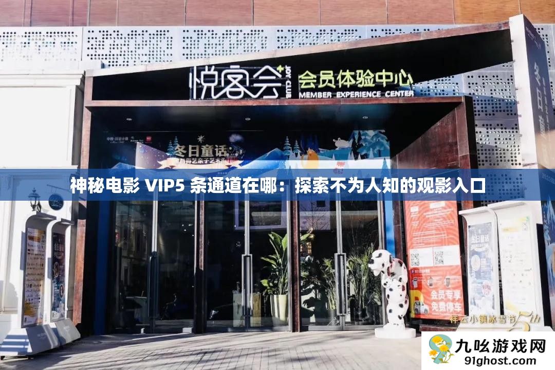 神秘电影 VIP5 条通道在哪