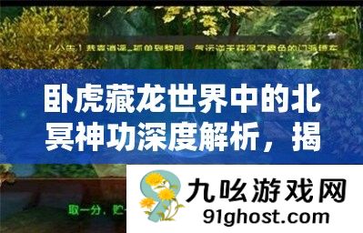 卧虎藏龙世界中的北冥神功深度解析