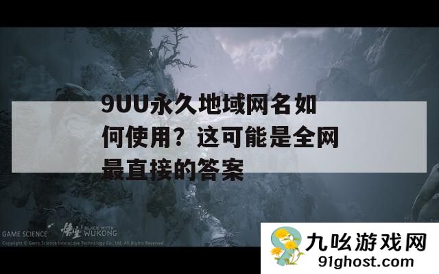 9UU永久地域网名如何使用