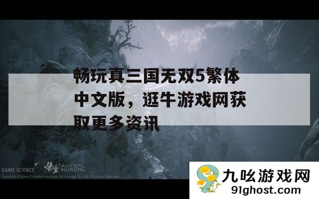 畅玩真三国无双5繁体中文版