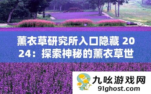 薰衣草研究所入口隐藏 2024
