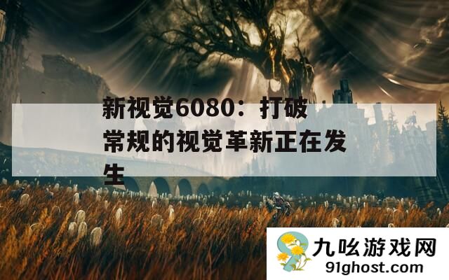 新视觉6080