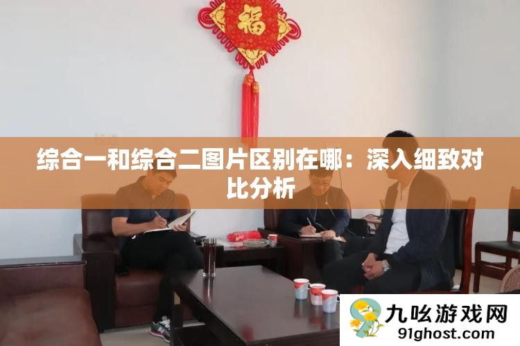 综合一和综合二图片区别在哪