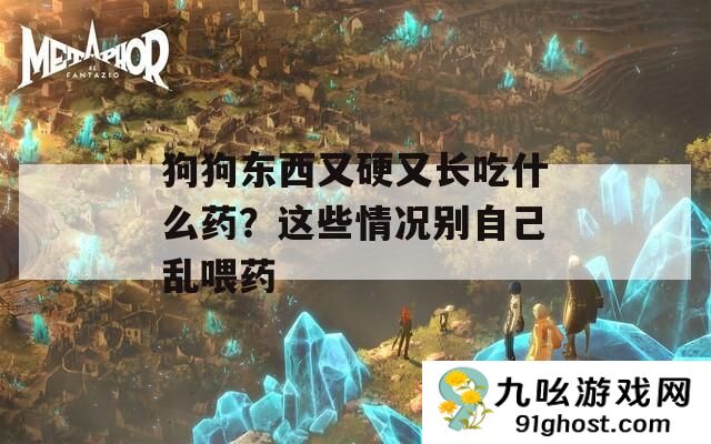 狗狗东西又硬又长吃什么药