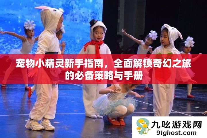 宠物小精灵新手指南