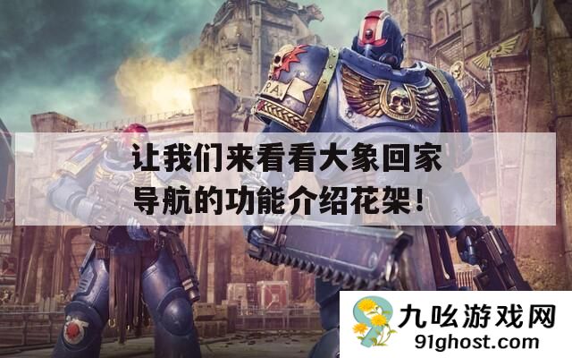 让我们来看看大象回家导航的功能介绍花架