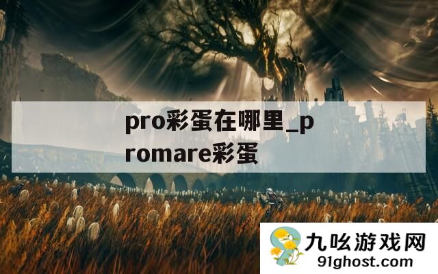 pro彩蛋在哪里_promare彩蛋