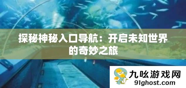 探秘神秘入口导航