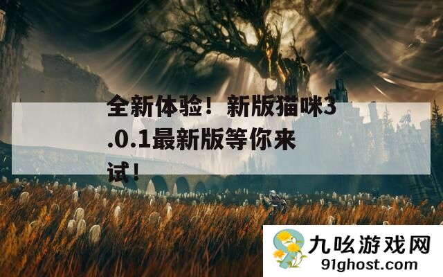 全新体验