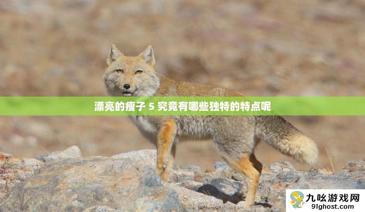 漂亮的瘦子 5 究竟有哪些独特的特点呢