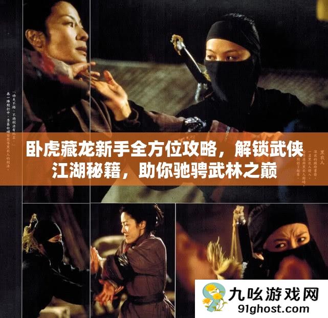 卧虎藏龙新手全方位攻略