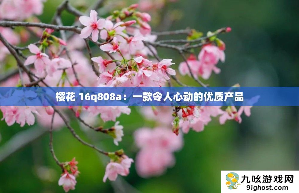 樱花 16q808a