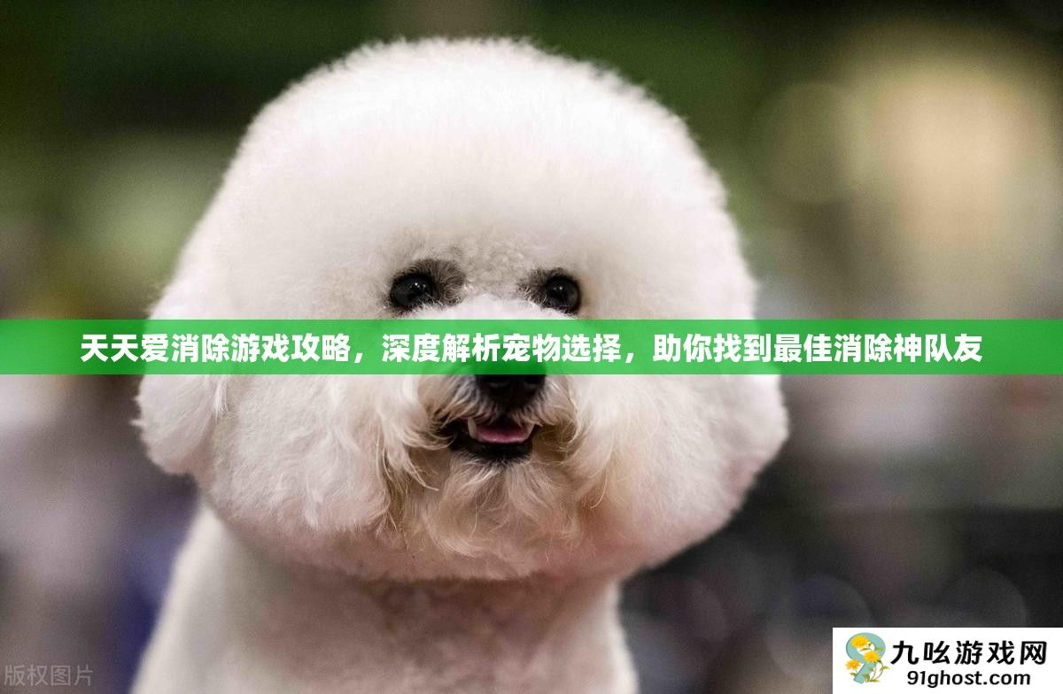 天天爱消除游戏攻略
