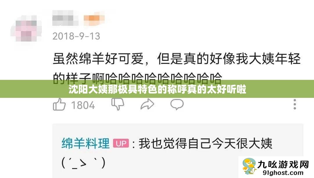 沈阳大姨那极具特色的称呼真的太好听啦