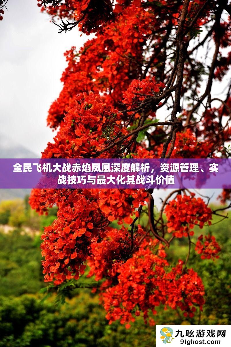 全民飞机大战赤焰凤凰深度解析