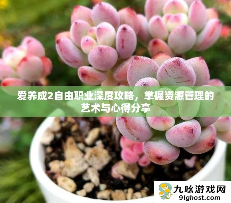 爱养成2自由职业深度攻略