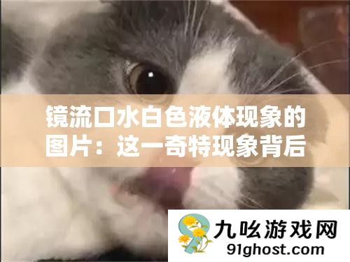 镜流口水白色液体现象的图片