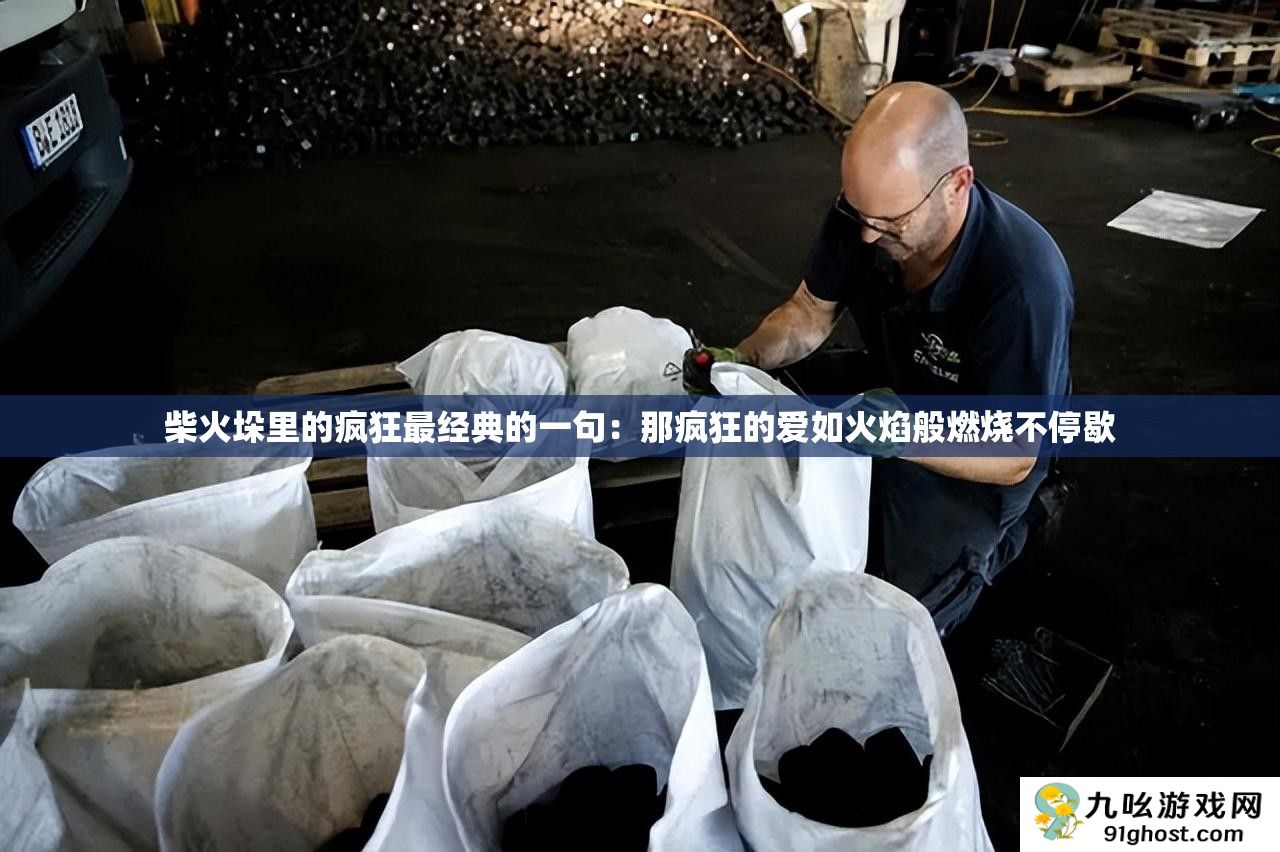 柴火垛里的疯狂最经典的一句