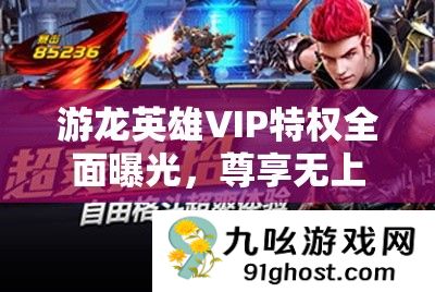 游龙英雄VIP特权全面曝光