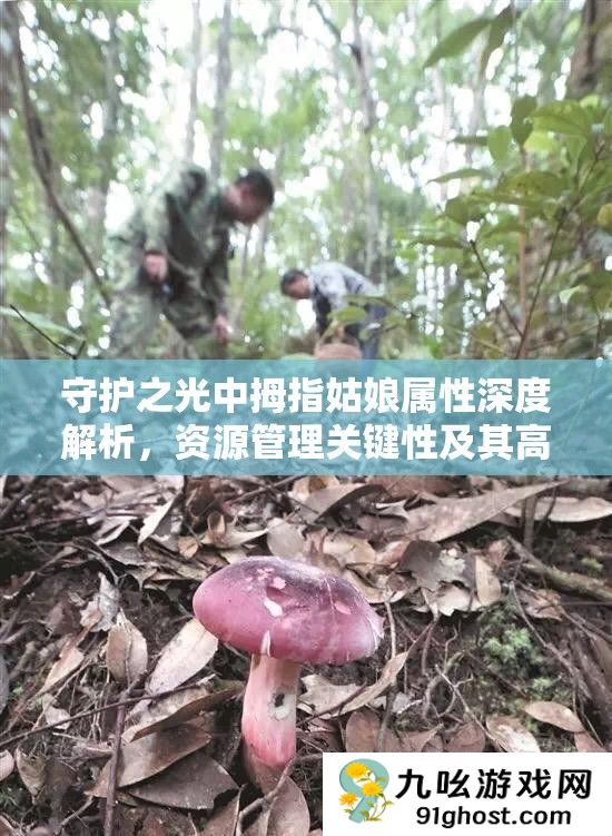 守护之光中拇指姑娘属性深度解析