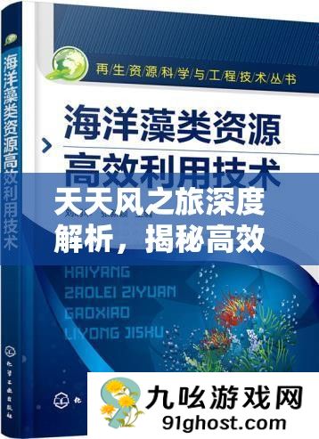 天天风之旅深度解析