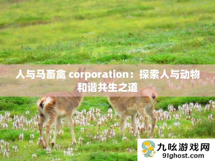 人与马畜禽 corporation