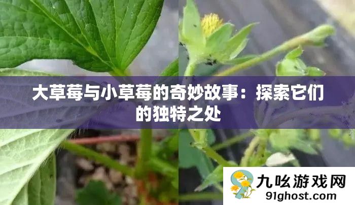 大草莓与小草莓的奇妙故事