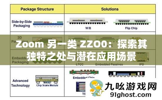Zoom 另一类 ZZO0
