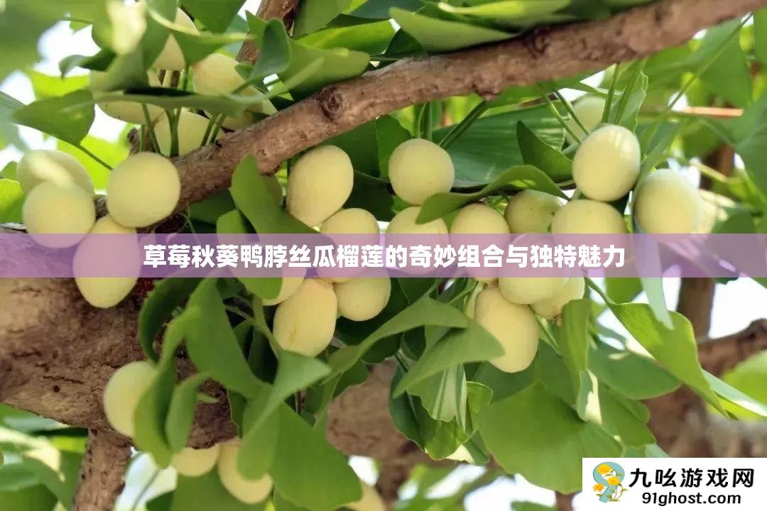 草莓秋葵鸭脖丝瓜榴莲的奇妙组合与独特魅力