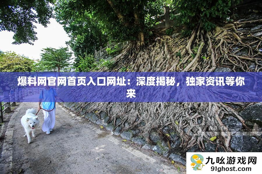 爆料网官网首页入口网址