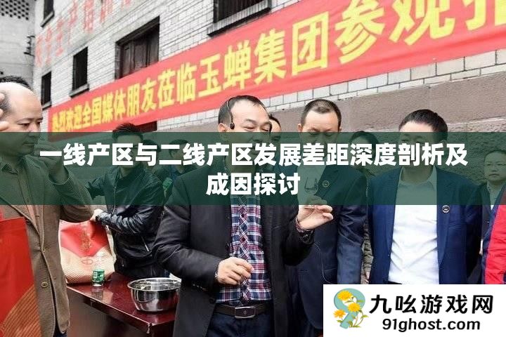 一线产区与二线产区发展差距深度剖析及成因探讨