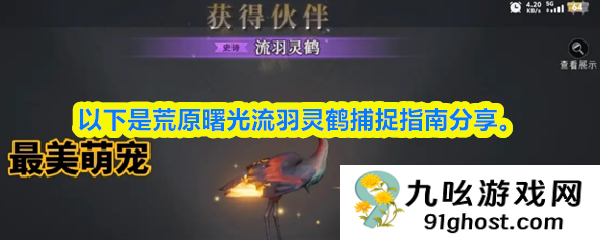 荒原曙光流羽灵鹤捕捉指南
