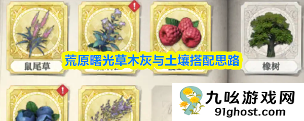 荒原曙光草木灰与土壤搭配思路