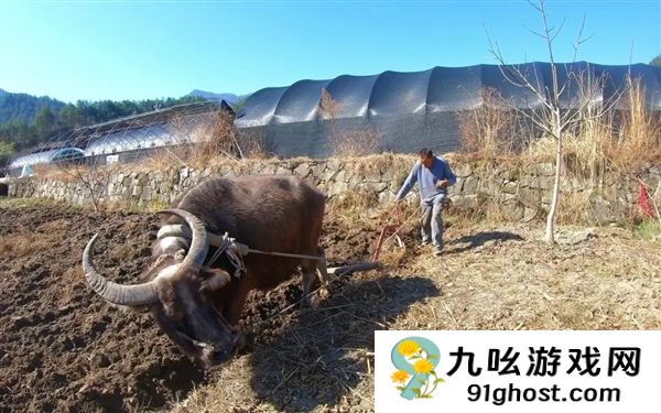 犀牛这么强壮 为何人类没驯服它们来耕地