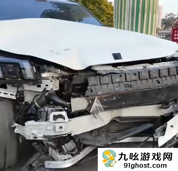 领克900车主称事故后安全带未锁死致母亲九级伤残 官方回应