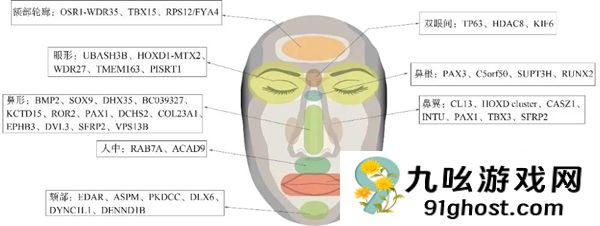 为什么有的人天生“面相有点凶”
