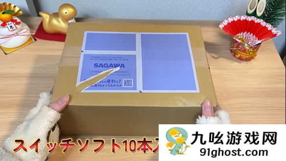 二手Switch游戏福袋大揭秘 5万日元的惊喜还是惊吓？