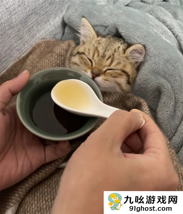 22年毒死至少11任丈夫 伊朗“黑寡妇”56岁被抓