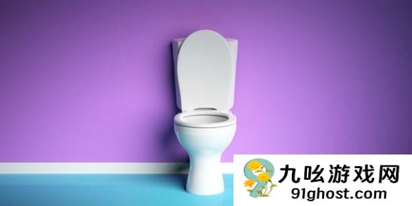 外出上厕所 你会选择坐便还是蹲便