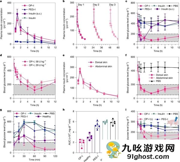 糖尿病告别打针 浙大团队实现无创透皮给药