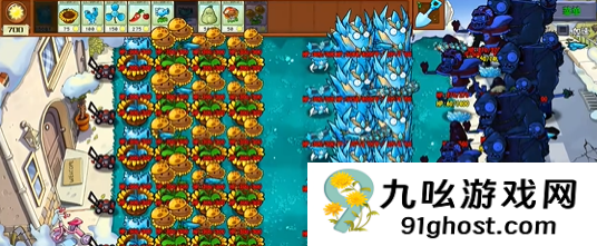 《植物大战僵尸杂交版》至尊金卡 “高冰果”高输出属性