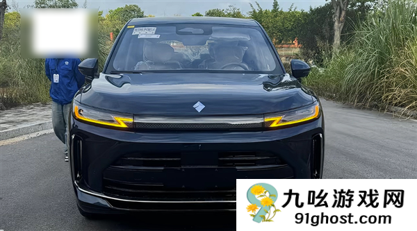 问界M9亲民平替 宝骏华境S实车曝光：用上舱内激光视觉