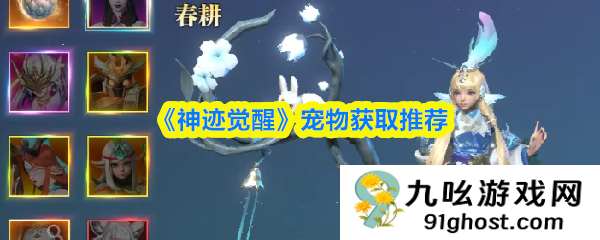 《神迹觉醒》宠物获取推荐