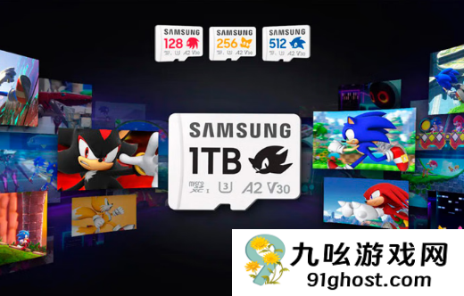 存储供应短缺扩散至microSD卡 NS2玩家存储卡选购受影响