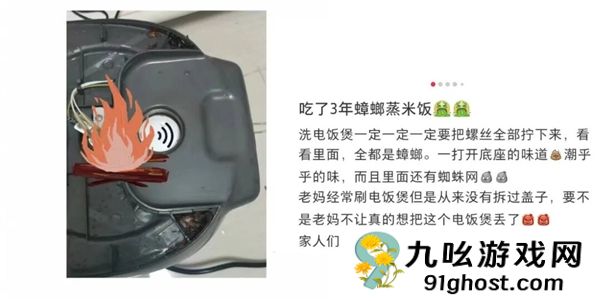 电饭煲这4个地方不洗 当心吃“蟑螂蒸饭”！