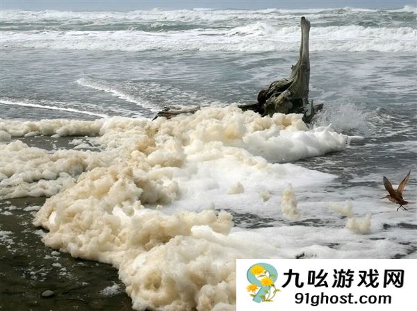 爱尔兰村庄出现罕见“泡沫雪” 像是洗洁精被打翻了