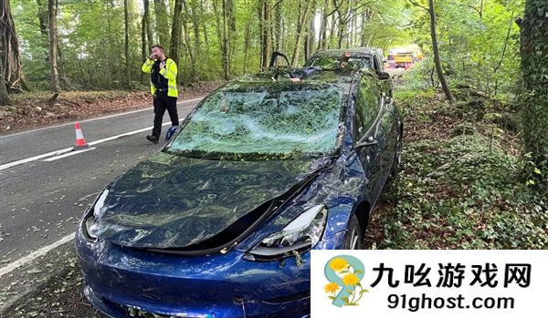 特斯拉Model  3被大树砸中护住乘员安全 车主又提新车支持马斯克